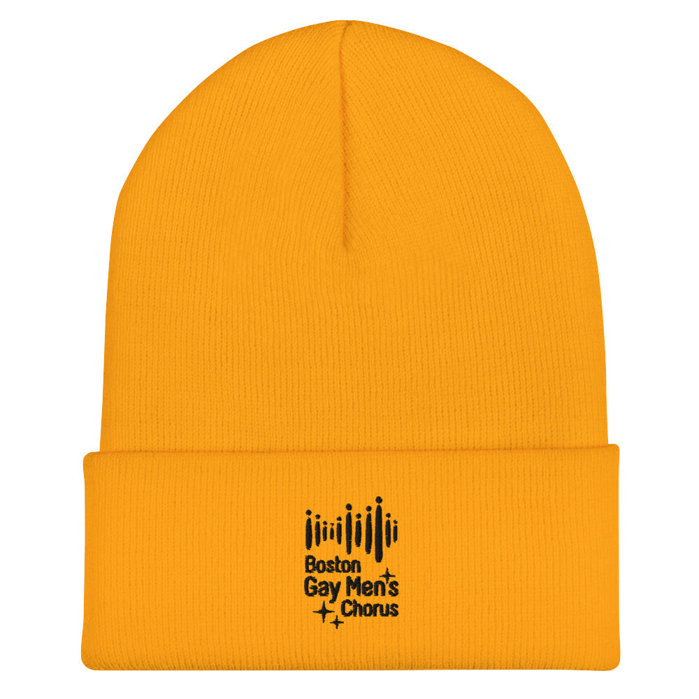 Cuffed Beanie